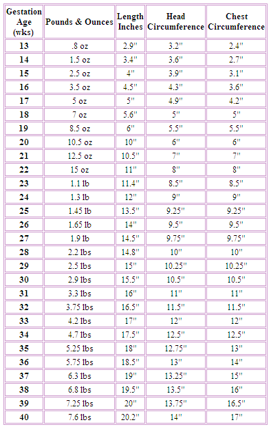 Premature Baby Growth Chart