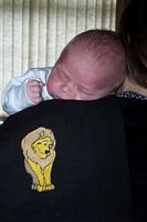 Picture of a baby and an embroidered lion burp cloth